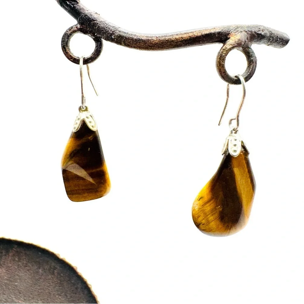 Tiger’s Eye Teardrop Sterling Silver Hook Dangle Earrings | Natural Stone